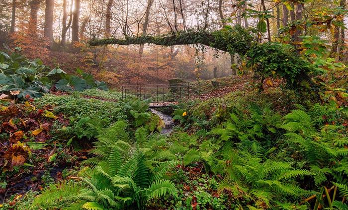 Woodland Garden